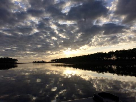 The sun is rising in Grand Bay National Estuarine Research Reserve.