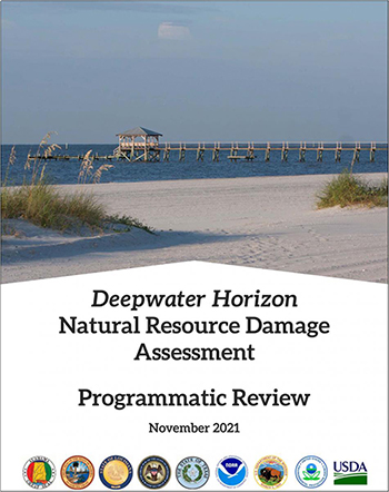 The 2021 Deepwater Horizon Programmatic Review Cover