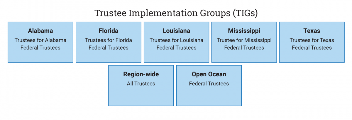 Trustee Implementation Group Organization Chart