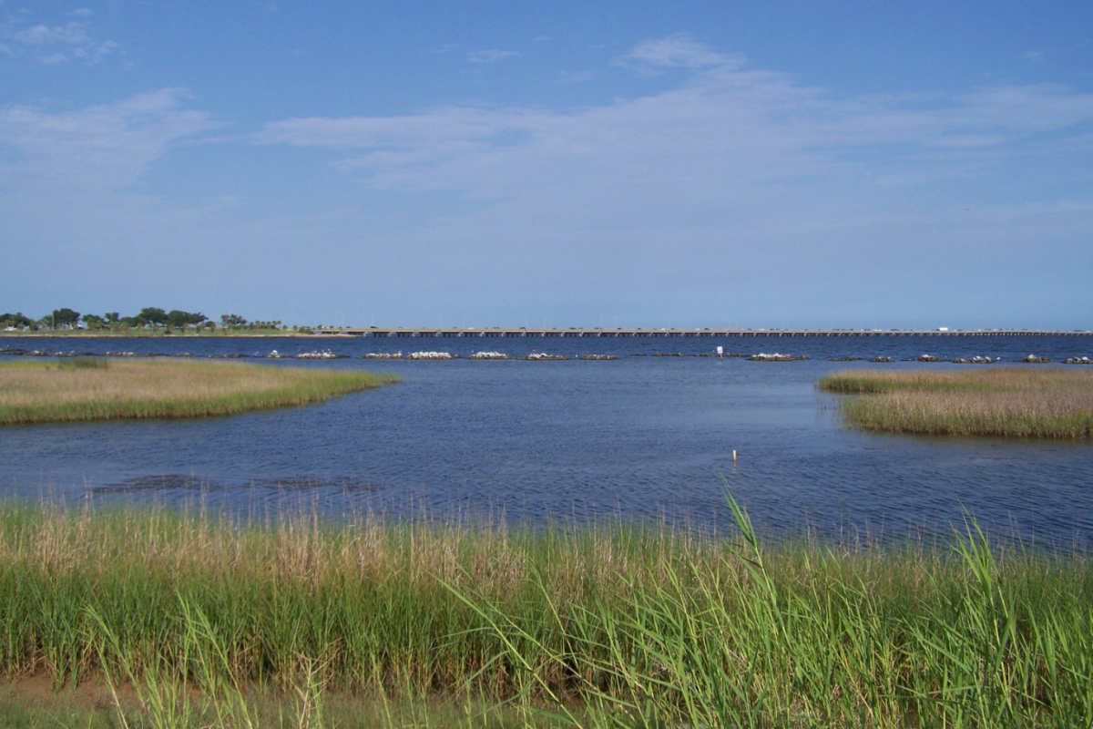 Living Shoreline Projects Move Forward in Florida, Mississippi | Gulf ...