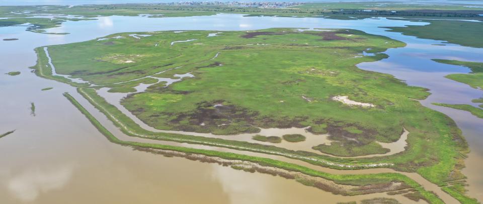 a marsh with brown water is shown with green patches of land in the middle