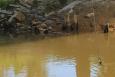 a water quality testing line is lowered from a bridge into brown water 