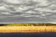a sunlit prairie sits behind calm water