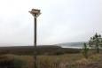 One of multiple osprey nesting platforms installed in Alabama to support restoration of their populations.