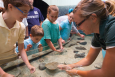 Children and an educator examine rays in an interactive exhibit.