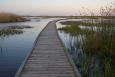 A wooden boardwalk crosses coastal wetlands in Texas.