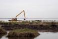 Construction equipment in a marsh