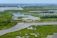 Aerial view of coastal wetlands