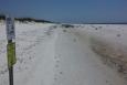 Lightly vegetated dunes on a beach. Signs say "do not enter" "restoration in progress"