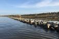 Rocky breakwaters protecting the Alabama coast.