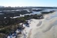 Aerial view of beach and vegetated habitat on the Gulf Coast.