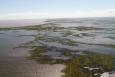 Aerial view of degrading coastal marsh in Louisiana.