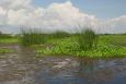 CWWPRA marsh restoration project. Image credit: USDA NRCS