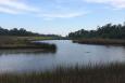 A river in Alabama meandering toward the Gulf of Mexico surrounded by marsh