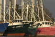 Louisiana fishing boats