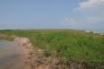 Marsh in Alabama