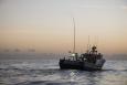 A fishing vessel equipped with Green Stick alternative gear out on the water at dusk.