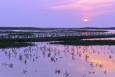 A purple sunset over a marshy Nueces Bay in Texas.