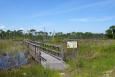 A boardwalk meandering through Alabama wetlands, with an interpretive sign.
