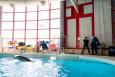 trainers work with dolphins at the National Aquarium in Baltimore, Md. 