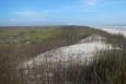 A mound of beach dune habitat protects marshlands on the other side in Texas.
