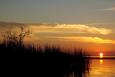 Sunset over a marsh in Alabama on the Gulf of Mexico. 