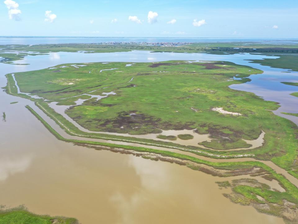 a marsh with brown water is shown with green patches of land in the middle