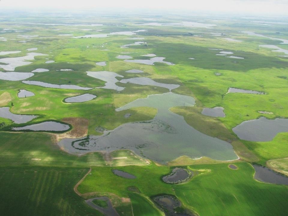 The Prairie Pothole region in the upper Midwest features include wetland areas surrounded by grasslands. (Photo: U.S. FWS) a prairie is shown overhead with water potholes