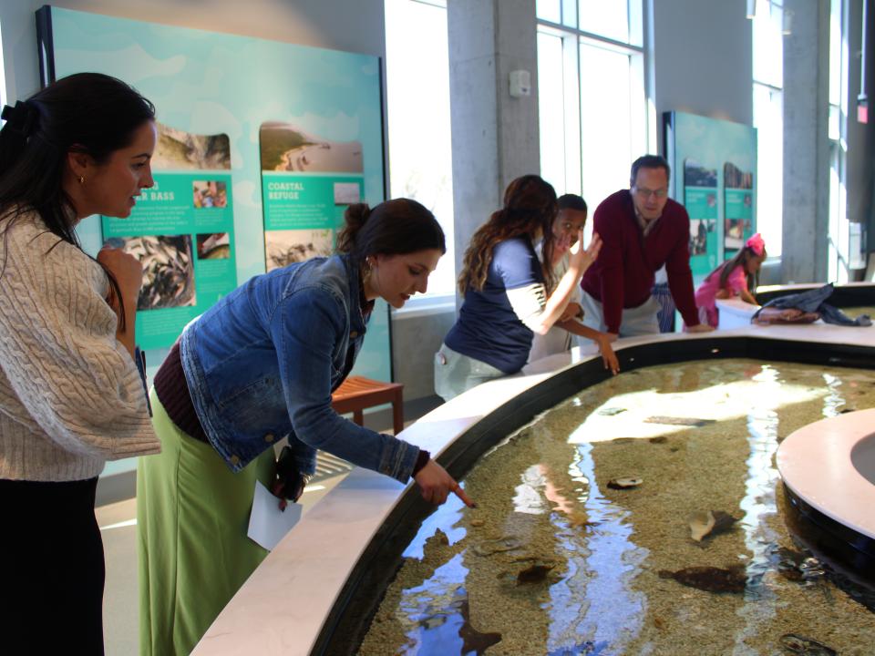 a lady stands over a touch tank and points into the water