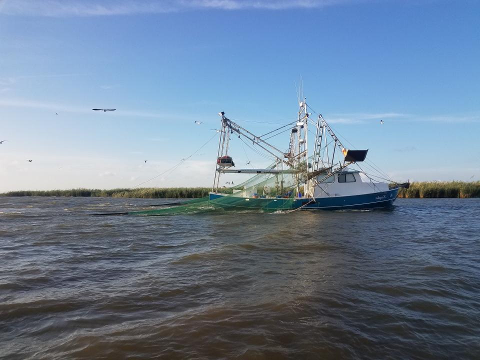 A passing skimmer trawl in Louisiana state waters (Photo: Taylor Beyea/LGL) shrimp boat