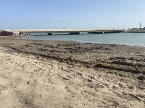a mucky shore is shown with a bridge in the background
