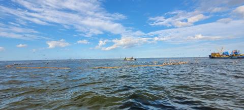 a large boat setting a net in the ocean with birds flying around 