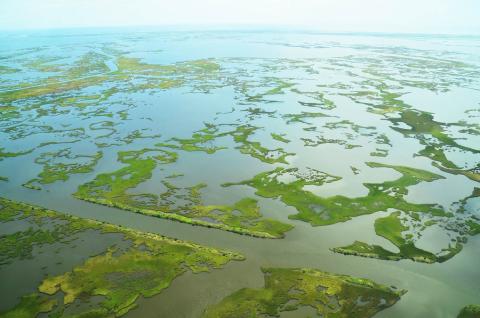 a marsh from an aerial view