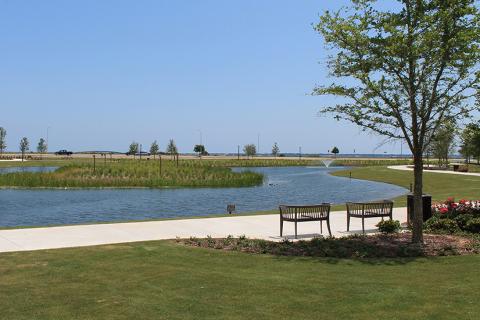 A coastal park with a pond in the background, benches near a tree in the foreground.
