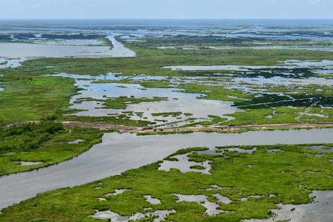 Aerial view of coastal wetlands