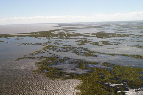Aerial view of degrading coastal marsh in Louisiana.
