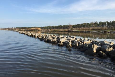 A line of rocks protecting marsh and upland habitat on the Gulf Coast in Alabama.