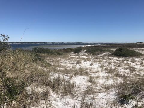 Coastal sand dunes with water in the background off Florida's coast.
