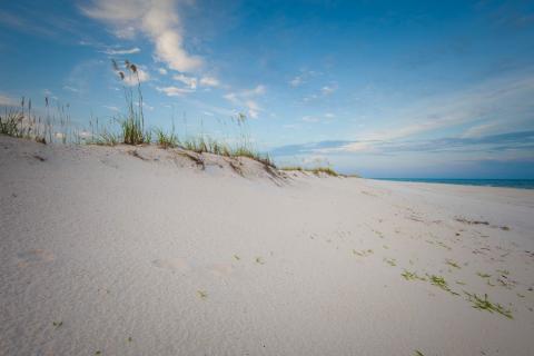 Dunes on a beach at Gulf State Park in Alabama. Image: Outdoor Alabama/Billy Pope