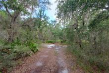 Florida Coastal Access Project Draft Restoration Plan, Meeting Materials Available