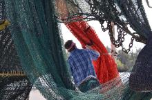 To Restore Gulf Fish, Shrimpers Test Better Gear for Reducing Bycatch   
