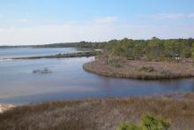 Submit Project Ideas for Florida’s Third Restoration Plan 
